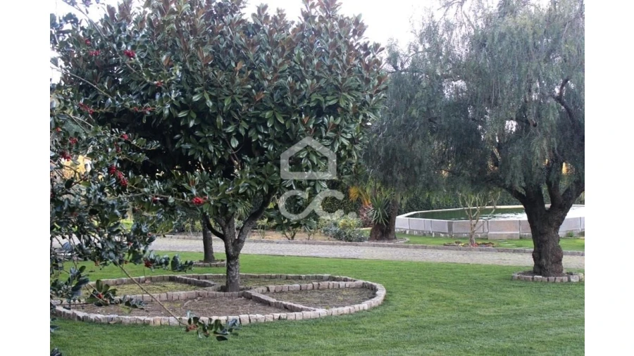 Quinta T6 para Venda em Fornos de Maceira Dão Foto 10