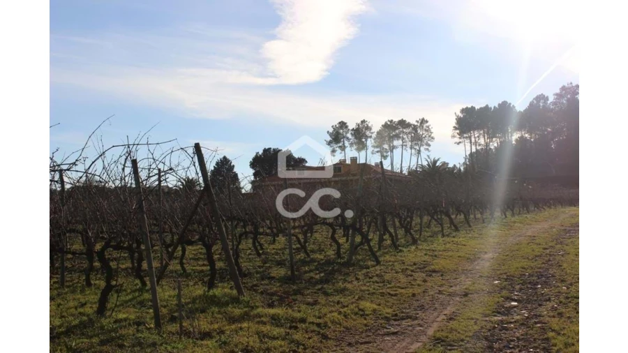 Quinta T6 para Venda em Fornos de Maceira Dão Foto 18