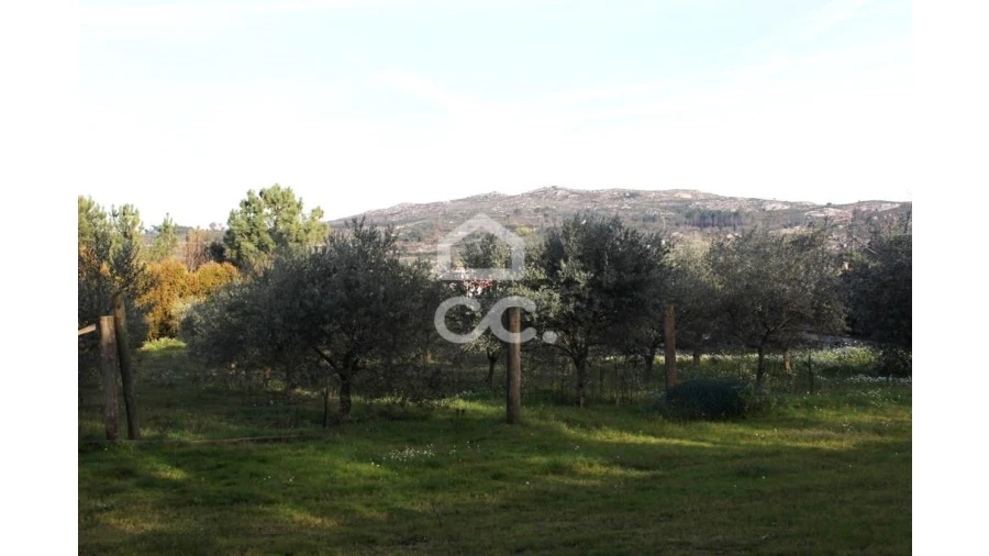 Quinta T6 para Venda em Fornos de Maceira Dão Foto 13