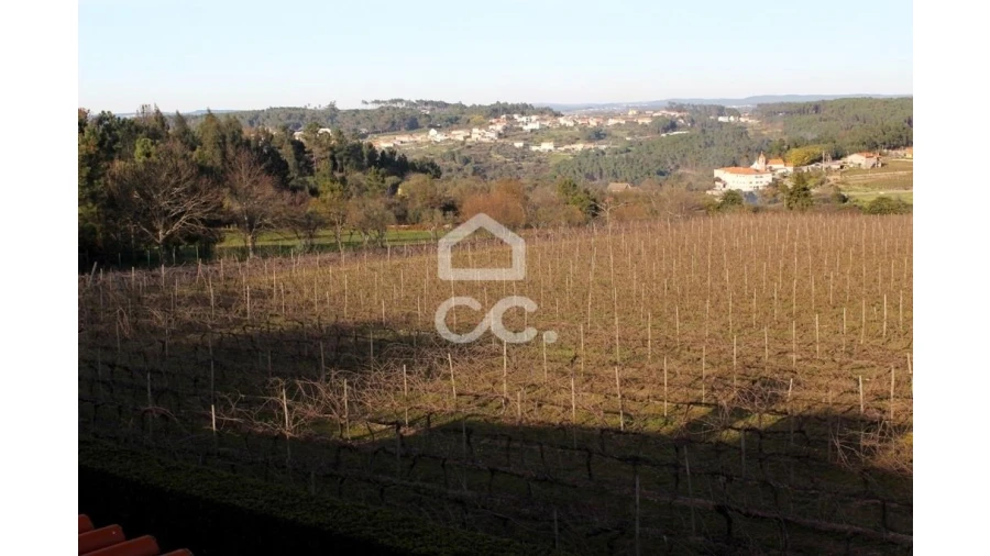 Quinta T6 para Venda em Fornos de Maceira Dão Foto 27