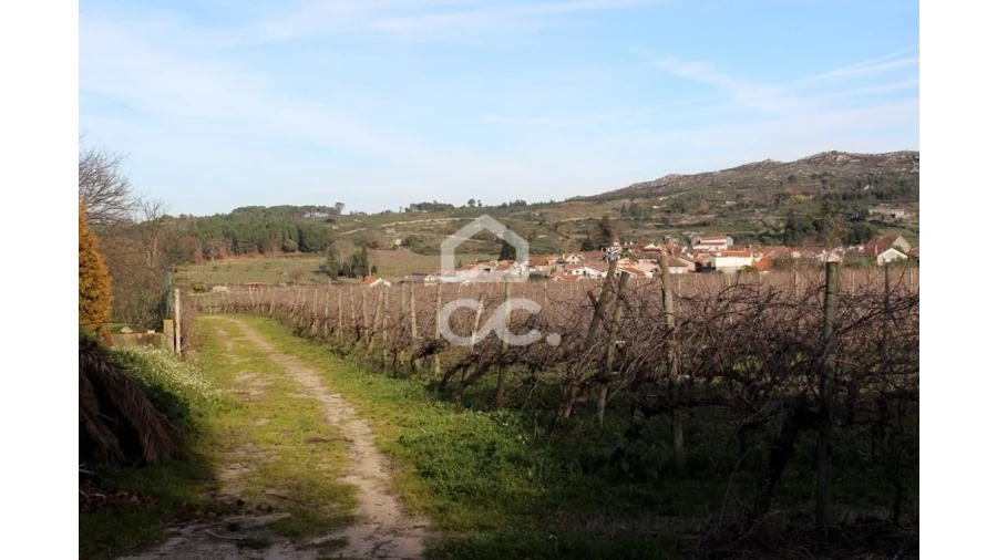 Quinta T6 para Venda em Fornos de Maceira Dão Foto 16