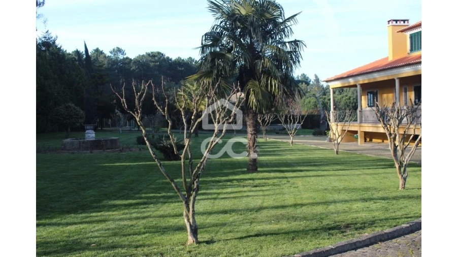 Quinta T6 para Venda em Fornos de Maceira Dão Foto 6