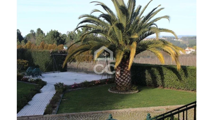 Quinta T6 para Venda em Fornos de Maceira Dão Foto 9