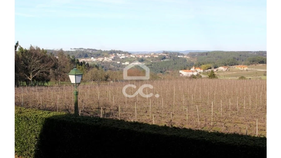 Quinta T6 para Venda em Fornos de Maceira Dão Foto 23