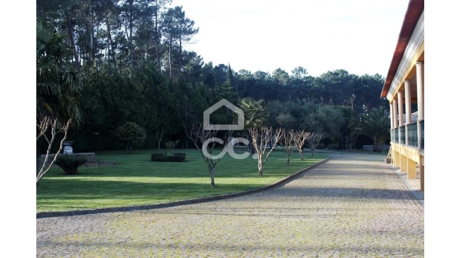 Quinta T6 para Venda em Fornos de Maceira Dão Foto 7