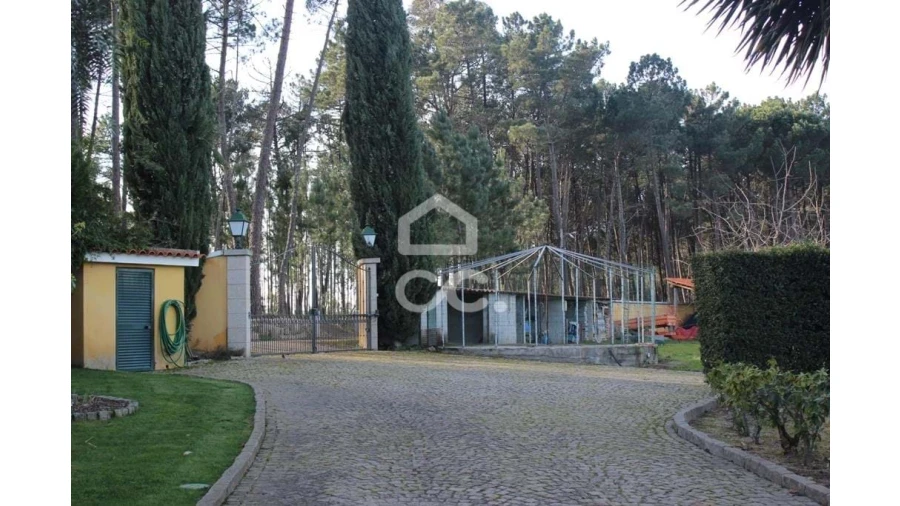 Quinta T6 para Venda em Fornos de Maceira Dão Foto 5