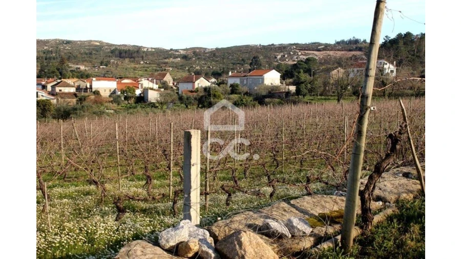 Quinta T6 para Venda em Fornos de Maceira Dão Foto 19