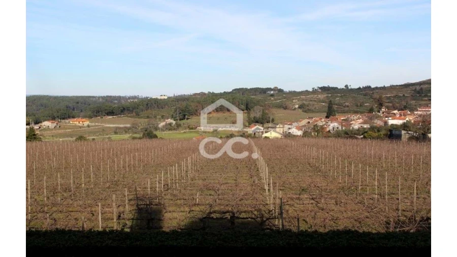 Quinta T6 para Venda em Fornos de Maceira Dão Foto 24