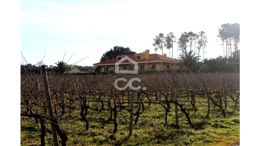 Quinta T6 para Venda em Fornos de Maceira Dão Foto 17