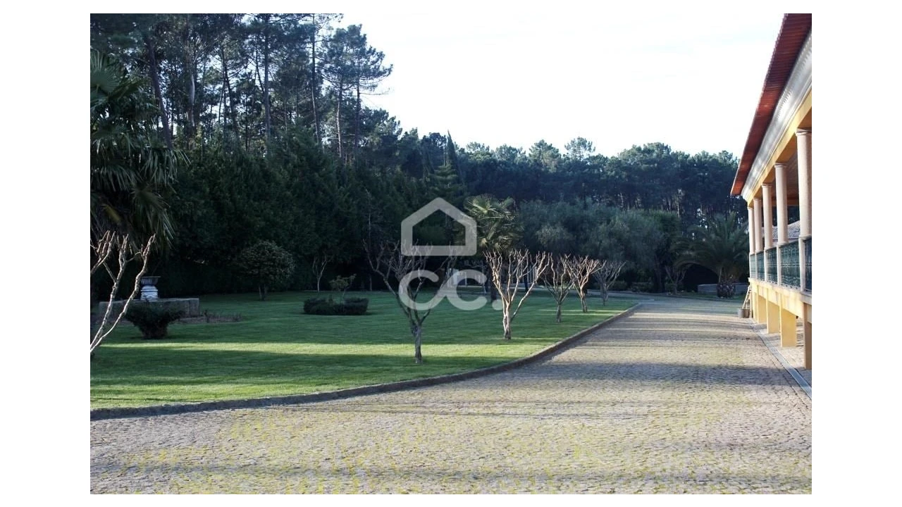 Quinta T6 para Venda em Fornos de Maceira Dão Foto 7