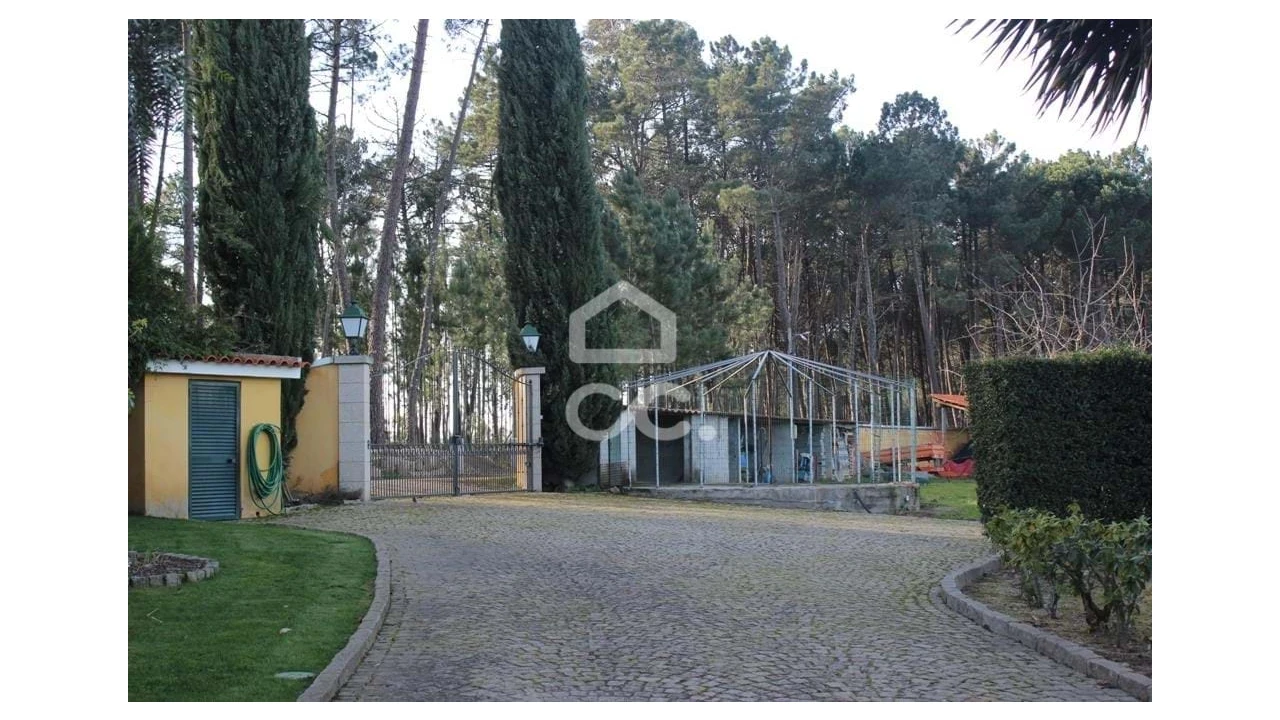 Quinta T6 para Venda em Fornos de Maceira Dão Foto 5