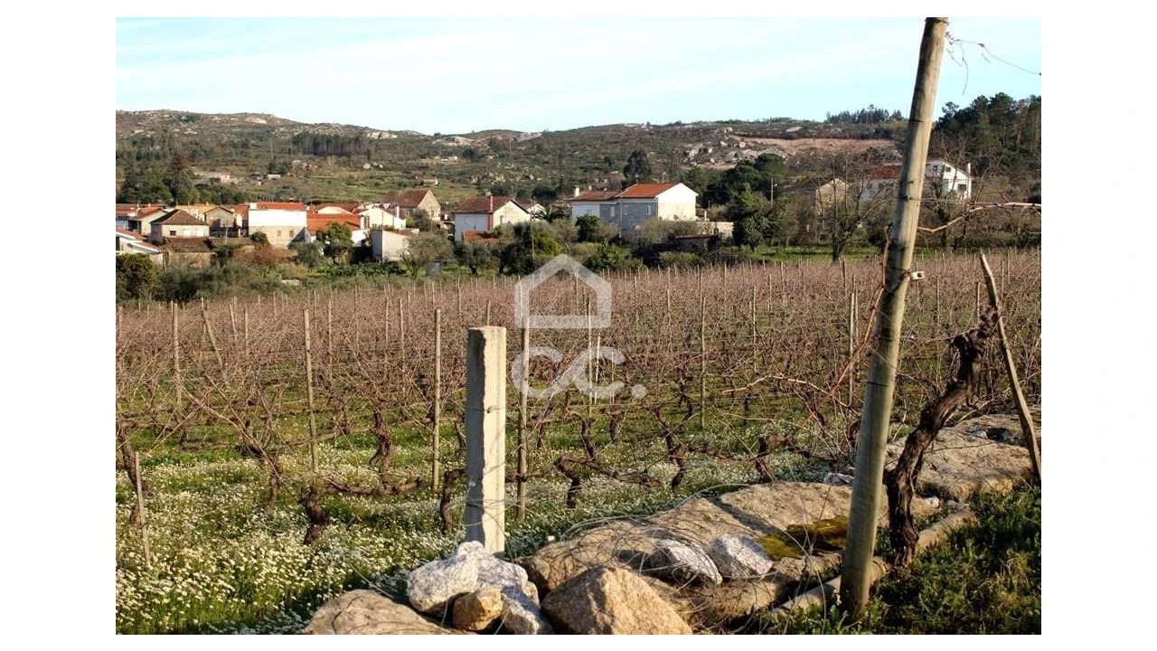 Quinta T6 para Venda em Fornos de Maceira Dão Foto 19