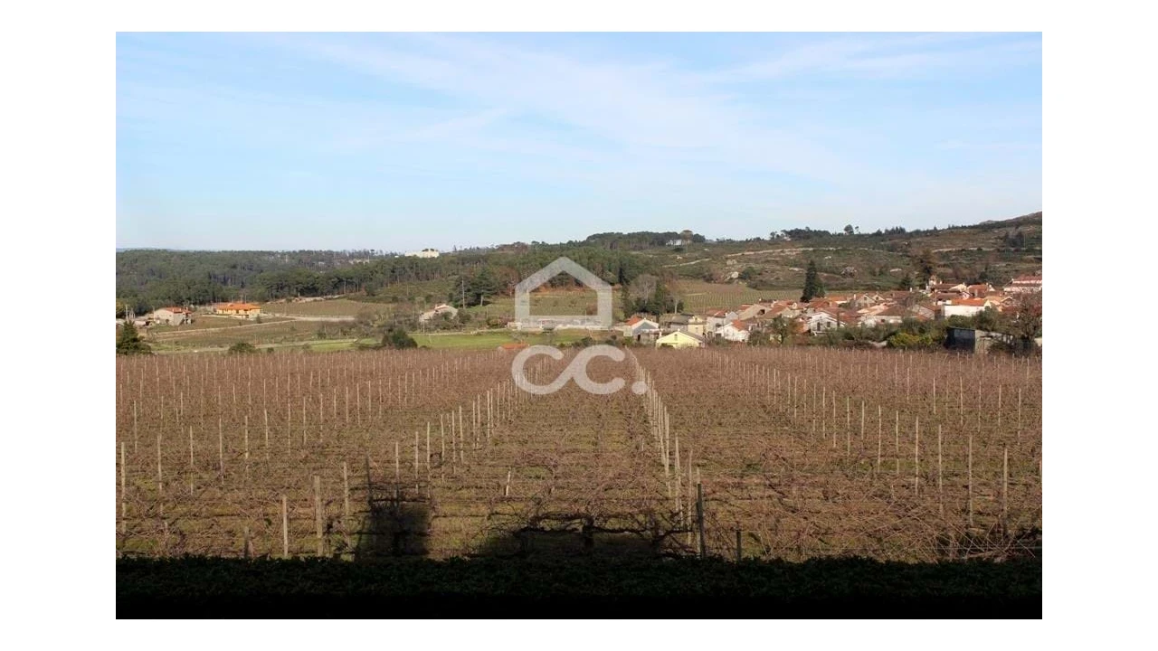 Quinta T6 para Venda em Fornos de Maceira Dão Foto 24