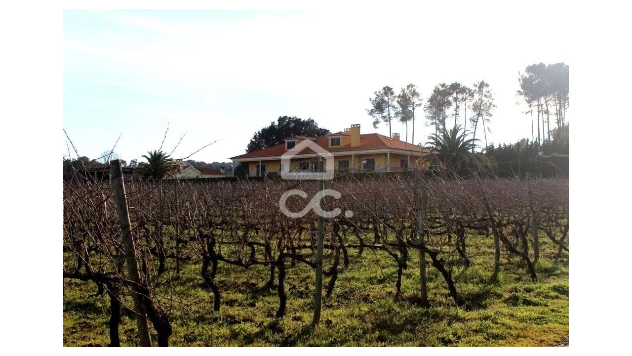 Quinta T6 para Venda em Fornos de Maceira Dão Foto 17