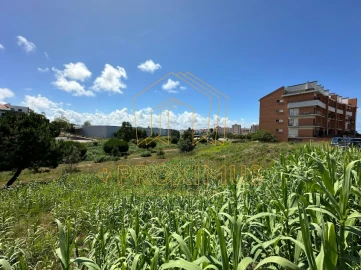 Terreno para Venda em Tavarede