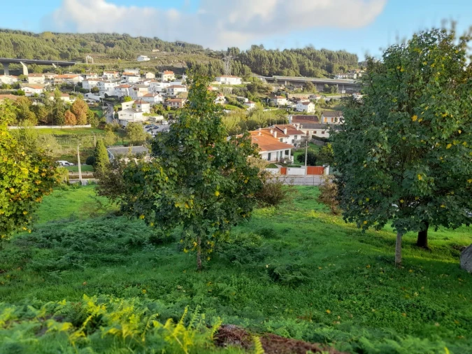 Terreno para Venda em Gondar Foto 9