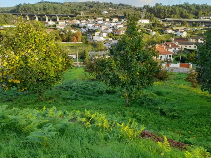Terreno para Venda em Gondar Foto 8