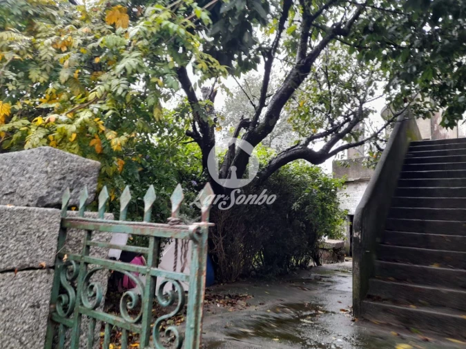 Quinta T6 para Venda em Delães Foto 1