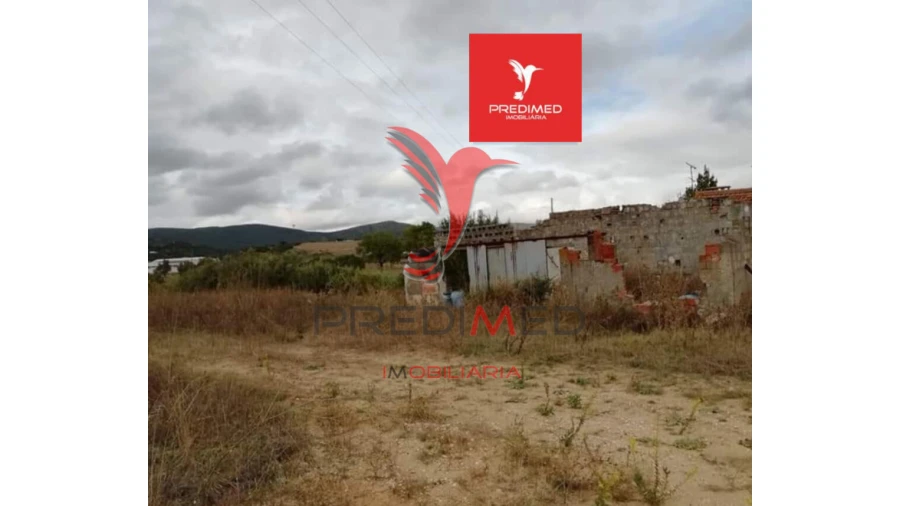 Terreno para Venda em Alcanena e Vila Moreira Foto 18