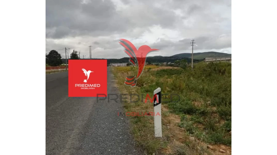 Terreno para Venda em Alcanena e Vila Moreira Foto 20