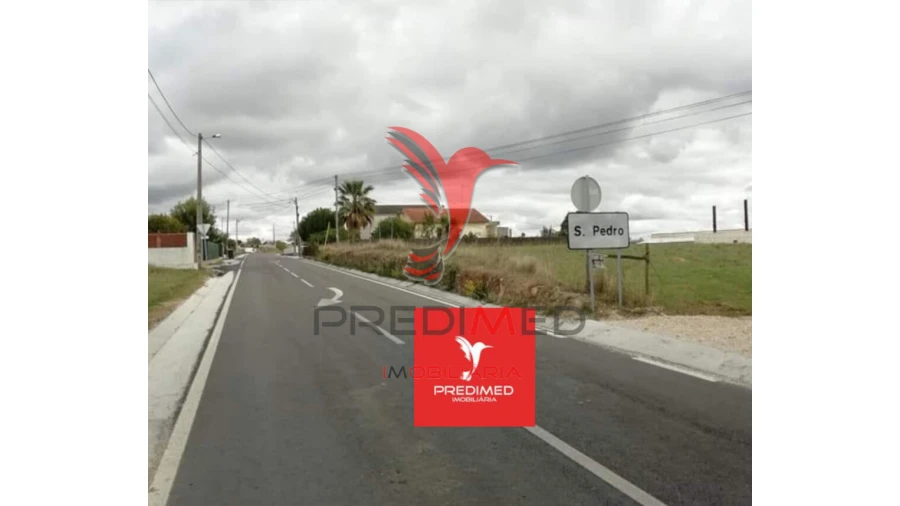 Terreno para Venda em Alcanena e Vila Moreira Foto 13