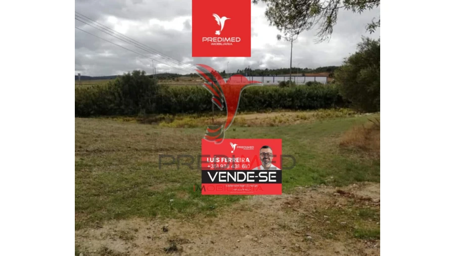 Terreno para Venda em Alcanena e Vila Moreira Foto 3