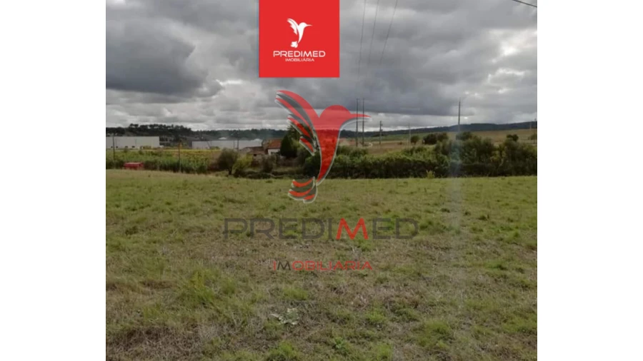 Terreno para Venda em Alcanena e Vila Moreira Foto 5