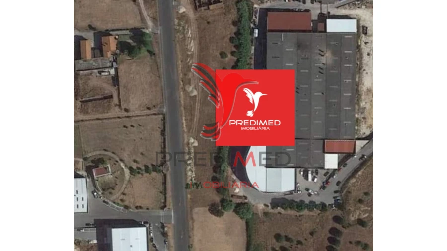 Terreno para Venda em Alcanena e Vila Moreira Foto 10