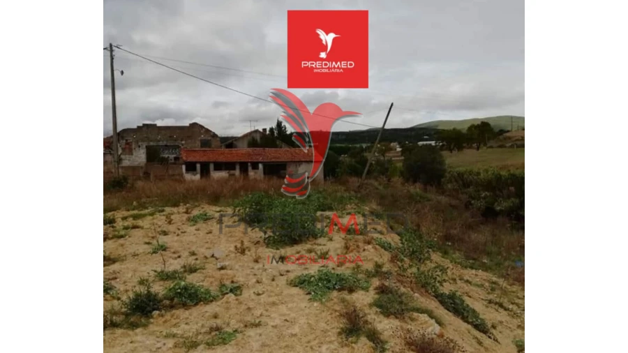 Terreno para Venda em Alcanena e Vila Moreira Foto 6