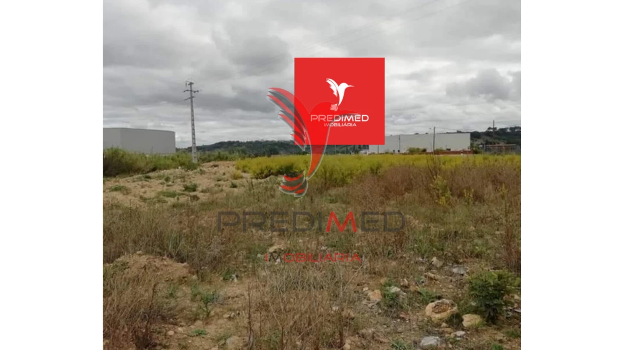 Terreno para Venda em Alcanena e Vila Moreira Foto 16