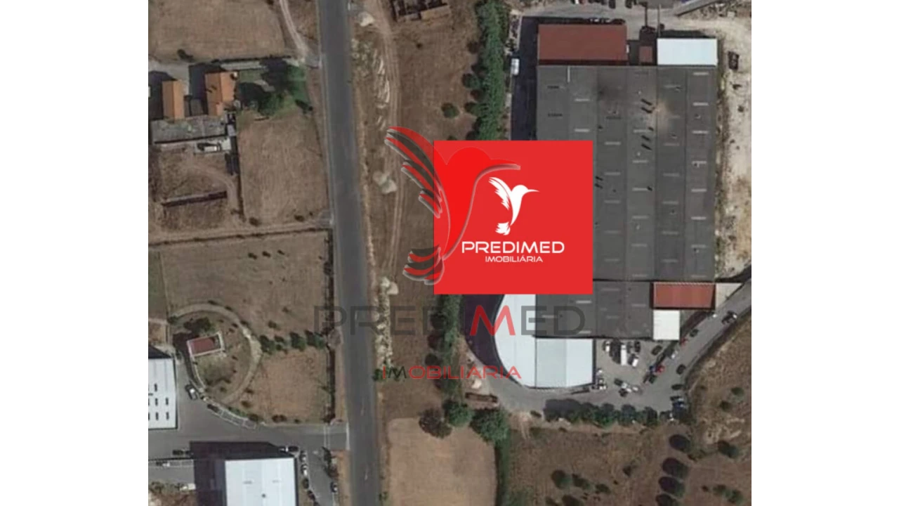 Terreno para Venda em Alcanena e Vila Moreira Foto 10