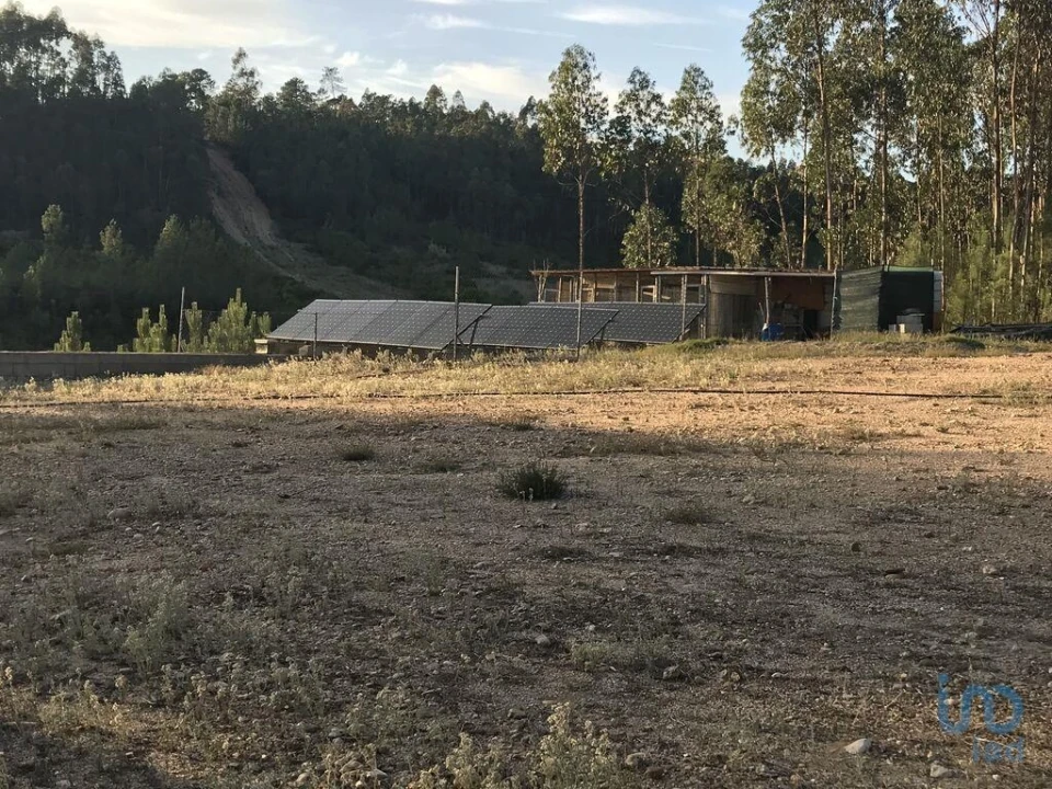 Negócio para Venda em Rio de Couros e Casal dos Bernardos Foto 2