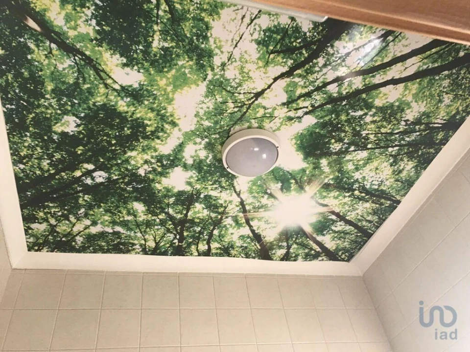 Negócio para Venda em Rio de Couros e Casal dos Bernardos Foto 7