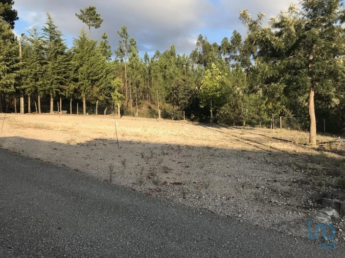 Negócio para Venda em Rio de Couros e Casal dos Bernardos Foto 6