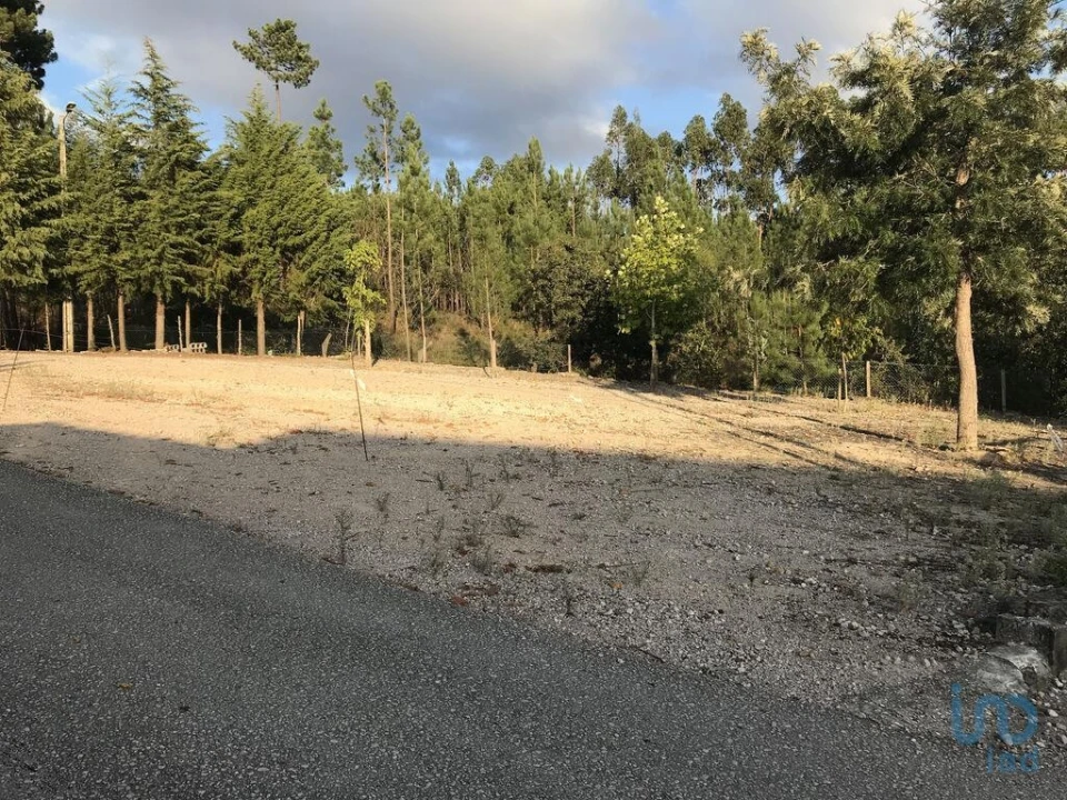 Negócio para Venda em Rio de Couros e Casal dos Bernardos Foto 6