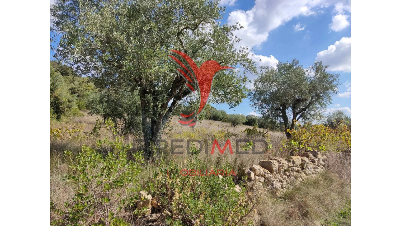 Terreno para Venda em Nossa Senhora das Misericordias Foto 1