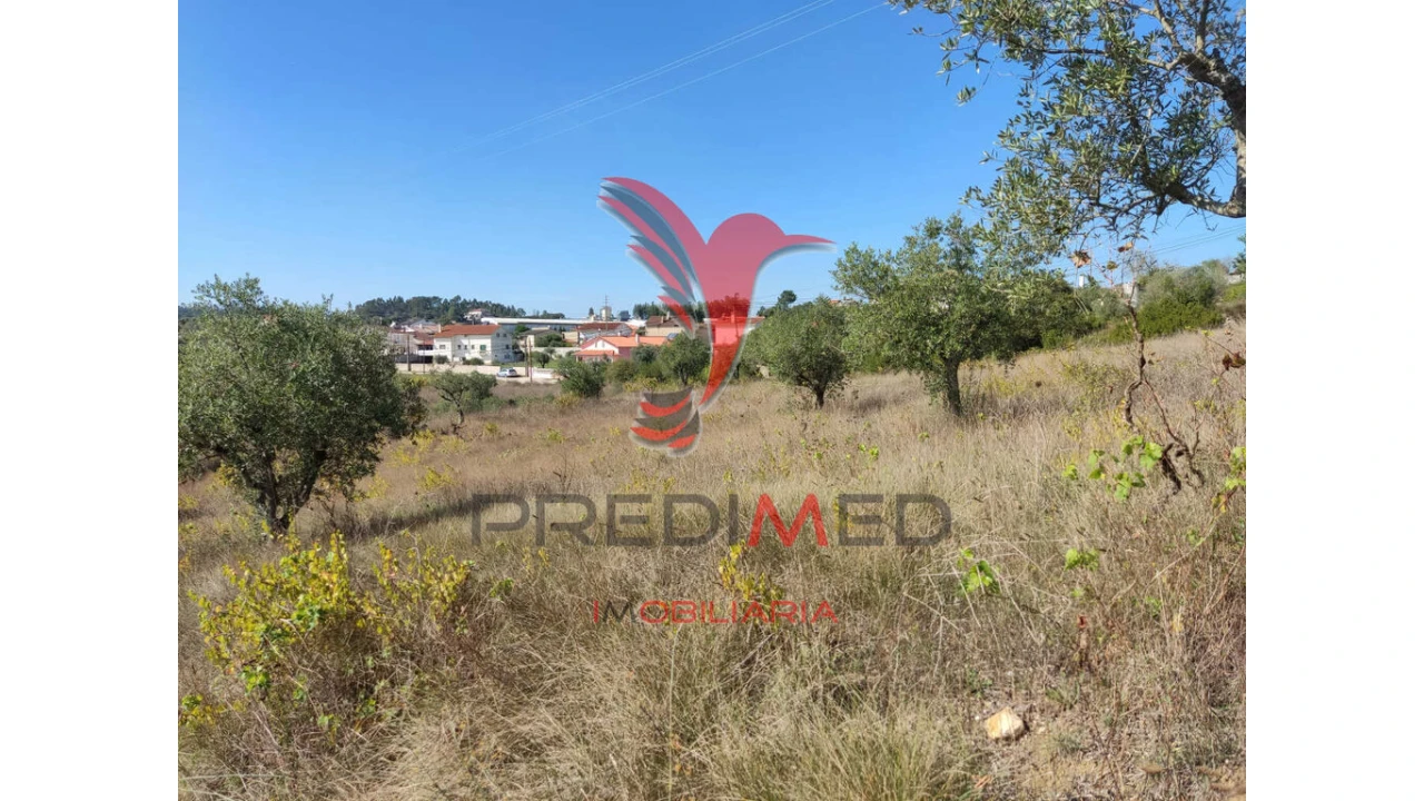 Terreno para Venda em Nossa Senhora das Misericordias Foto 7