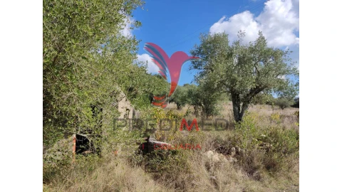 Terreno para Venda em Nossa Senhora das Misericordias