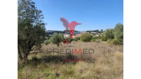 Terreno para Venda em Nossa Senhora das Misericordias