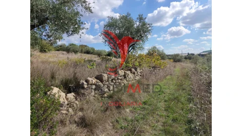 Terreno para Venda em Nossa Senhora das Misericordias
