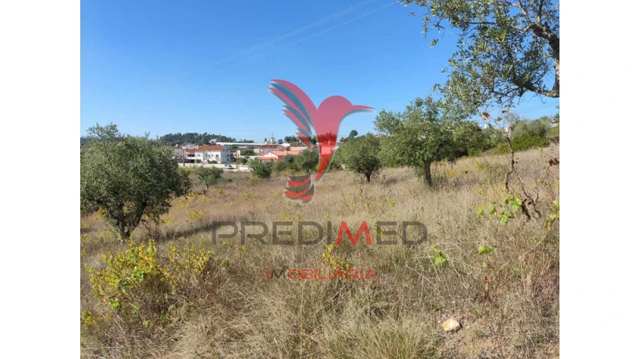 Terreno para Venda em Nossa Senhora das Misericordias Foto 7