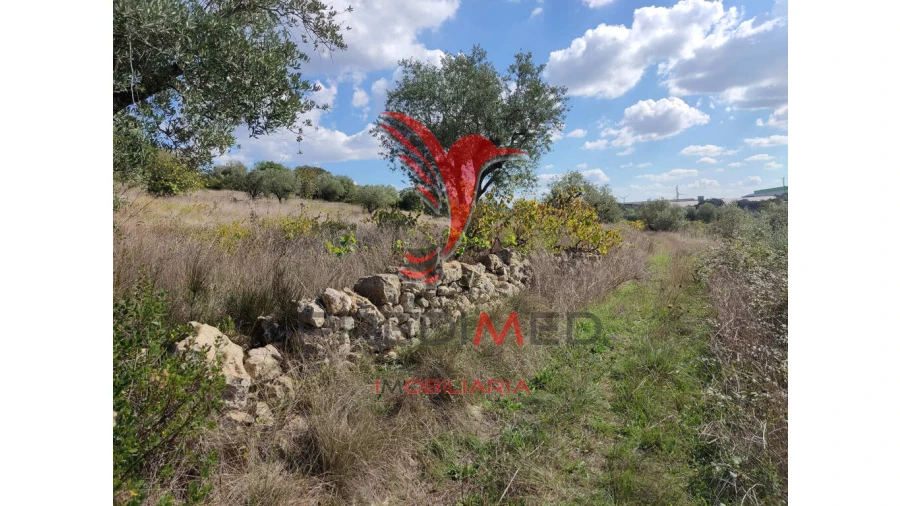 Terreno para Venda em Nossa Senhora das Misericordias Foto 4