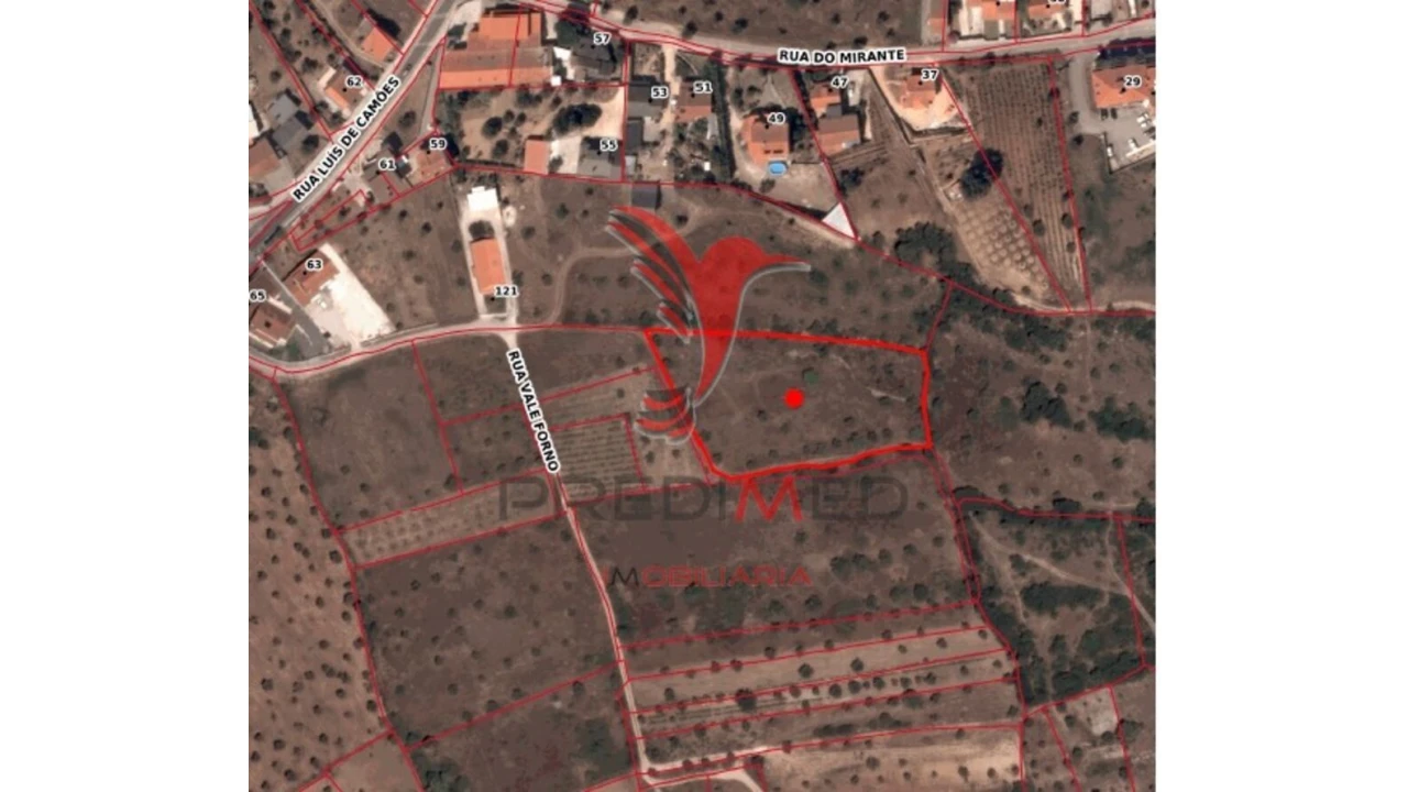 Terreno para Venda em Nossa Senhora das Misericordias Foto 9