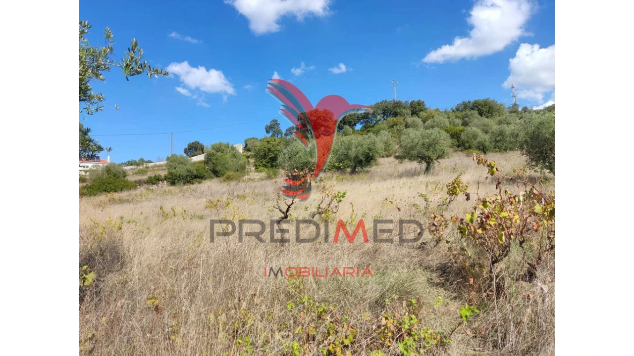 Terreno para Venda em Nossa Senhora das Misericordias Foto 8