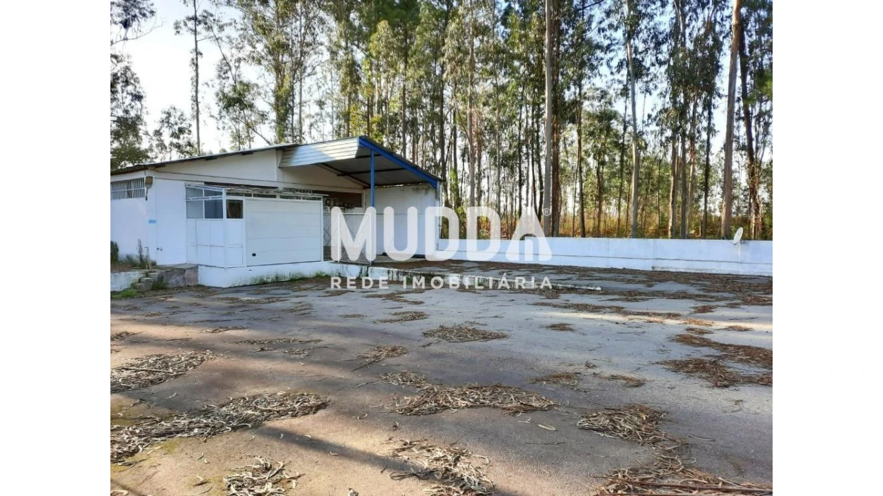 Armazém para Venda em Valega Foto 2