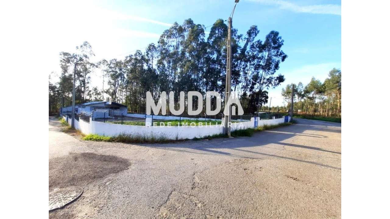 Armazém para Venda em Valega Foto 10