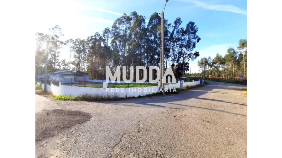 Armazém para Venda em Valega