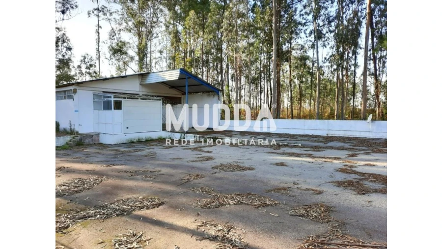 Armazém para Venda em Valega Foto 2