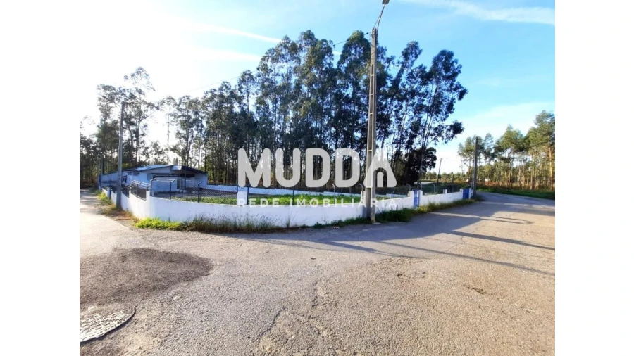 Armazém para Venda em Valega Foto 10