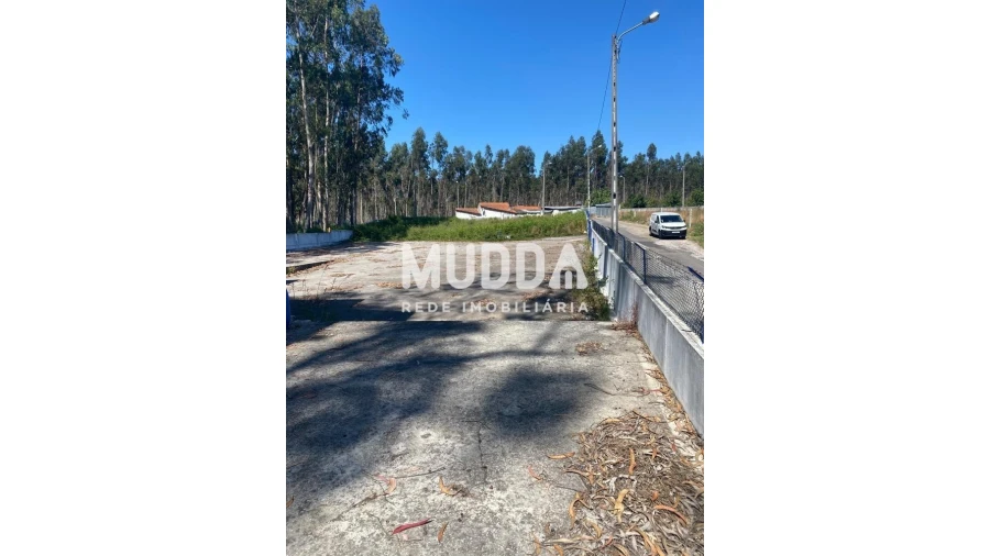 Armazém para Venda em Valega Foto 12